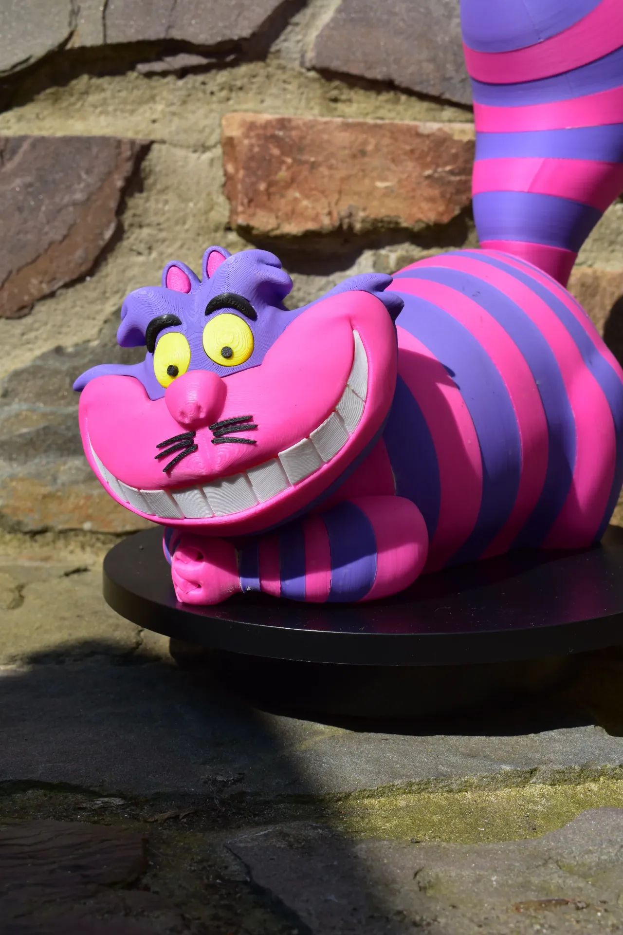 Le chat d'Alice